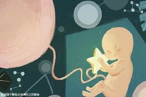 胚胎实验室